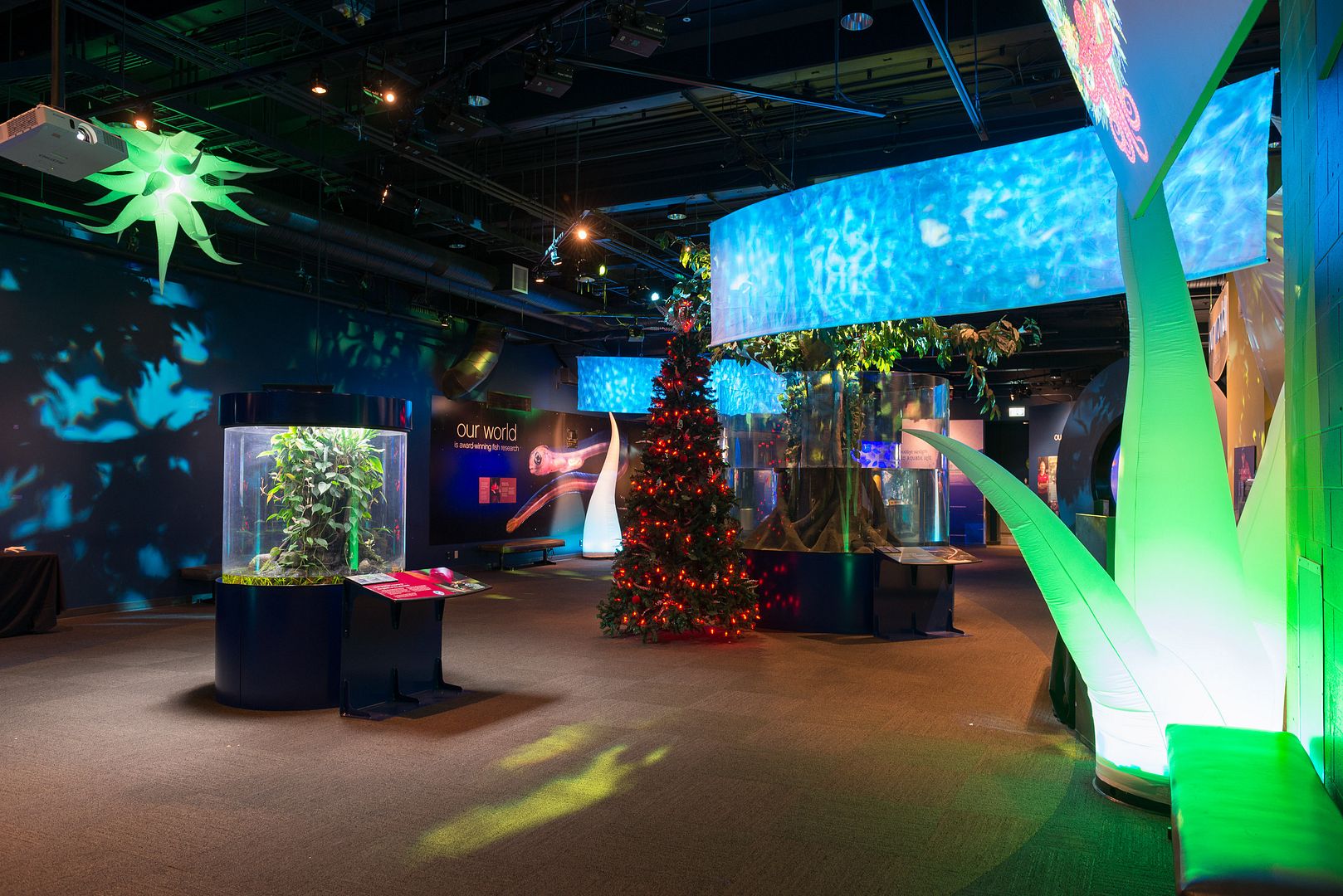 Visiting the Vancouver Aquarium This Holiday Season {Giveaway}